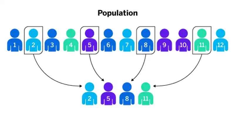 Imágen de selección de ciertas unidades en una población